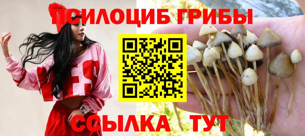 Псилоцибиновые грибы Magic Shrooms Славянск-на-Кубани