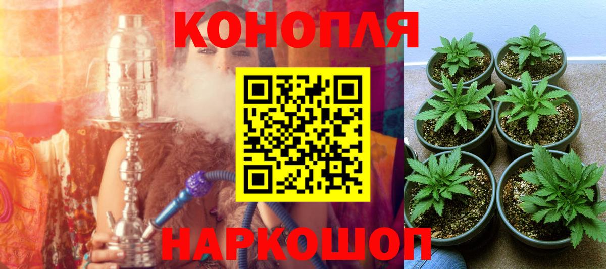 Шишки марихуана OG Kush Славянск-на-Кубани